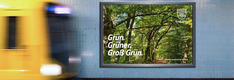 einen Blick auf einen Wald