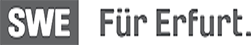 Stadtwerke Erfurt Gruppe 2020