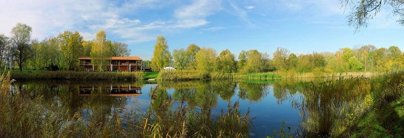 See umgeben von Schilf