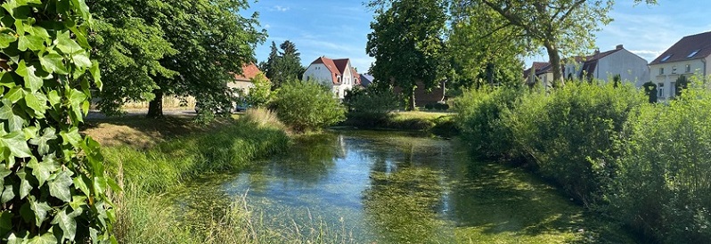 von Häusern umgebener Teich