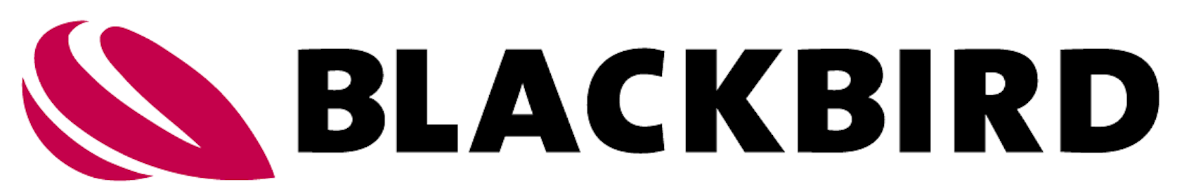 Blackbird Robotersysteme GmbH 