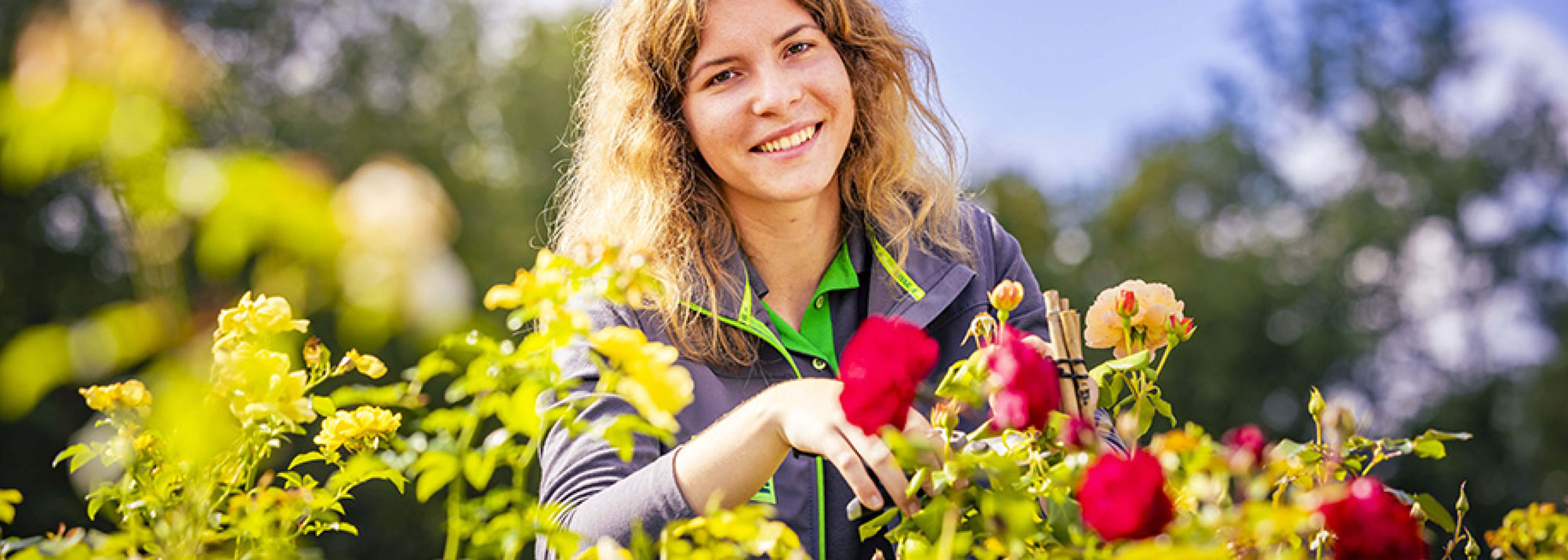 Header Blumen Risse