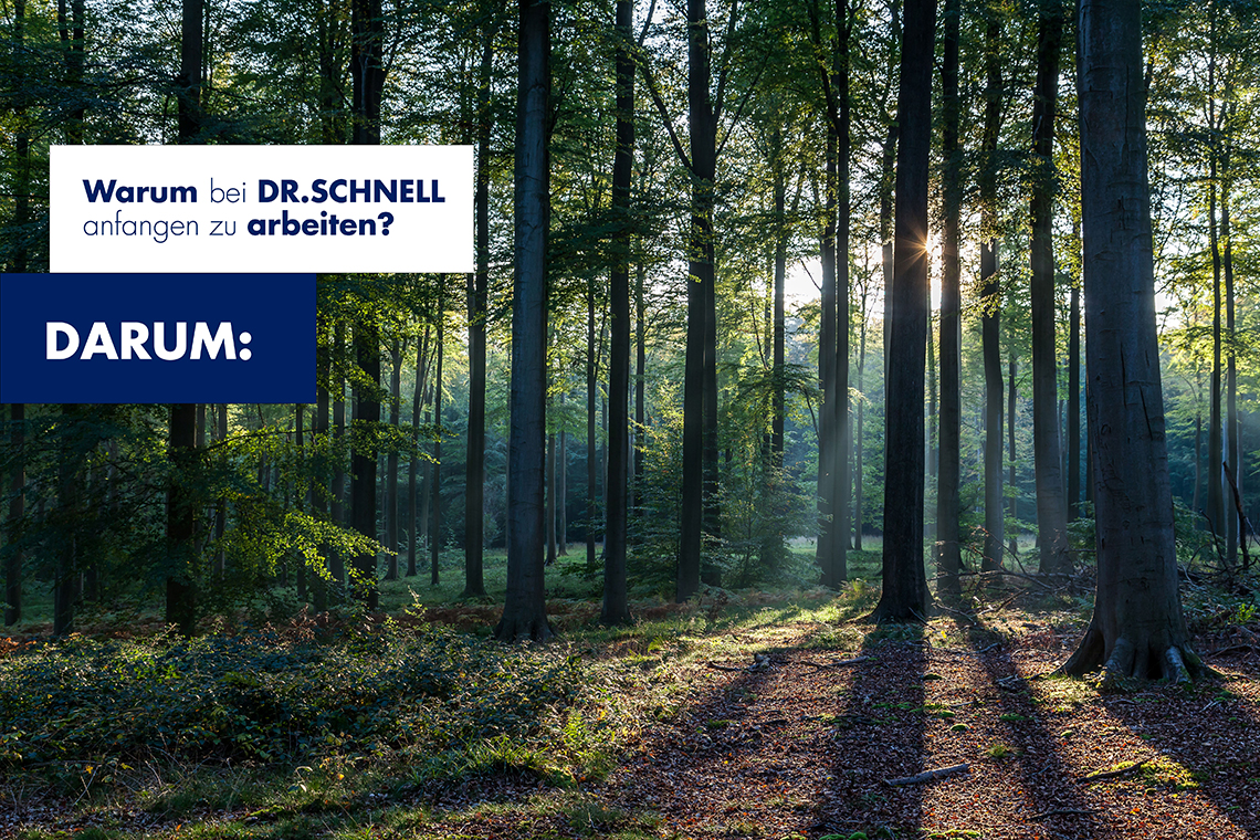 Headerbild der Anzeige LD Responsive