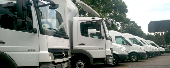 Fuhrpark der CarGo Autovermietung GmbH