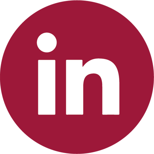 linkedin Logo