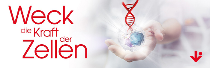 Headerbild der Anzeige