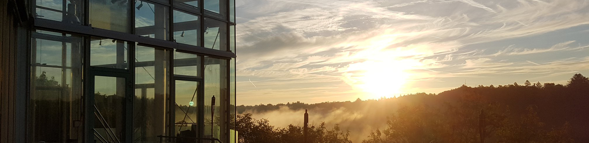 Headerbild