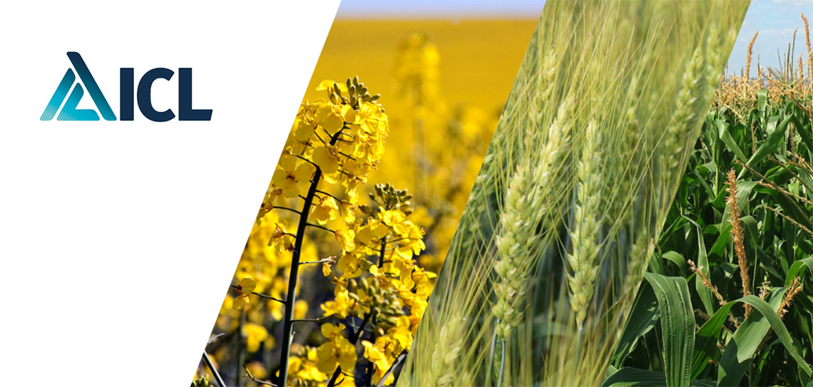 ICL Deutschland Vertriebs GmbH