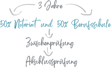 Notarin Dr. Karin Raude