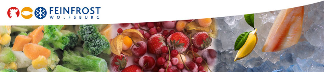 Feinfrost Wolfsburg GmbH & Co. KG