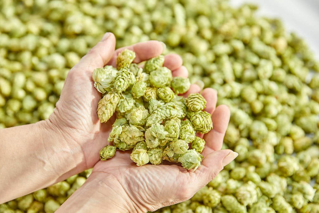 Hopfenveredlung St. Johann GmbH