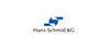 Firmenlogo: Firmenlogo: Hans Schmid GmbH & Co. KG