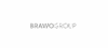 Firmenlogo: BRAWO GE Management GmbH Firmenlogo: BRAWO GE Management GmbH