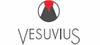 Vesuvius GmbH Vesuvius GmbH