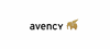 avency GmbH avency GmbH