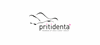 Firmenlogo: Firmenlogo: pritidenta GmbH