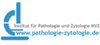 Firmenlogo: IPN Institut für Pathologie und Zytologie MVZ GmbH