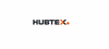 Das Logo von Hubtex Maschinenbau GmbH & Co. KG