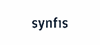 Firmenlogo: synfis Service GmbH