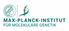 Firmenlogo: Max-Planck-Institut für molekulare Genetik