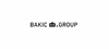Firmenlogo: Bakic Production GmbH