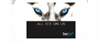 Firmenlogo: DusarFrigo GmbH