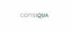 Firmenlogo: Consiqua GmbH