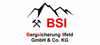 Firmenlogo: BSI Bergsicherung Ilfeld GmbH & Co.KG