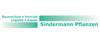 Firmenlogo: Sindermann Pflanzen