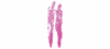 Firmenlogo: Dr. med. Johannes Roth