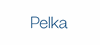 Firmenlogo: Pelka und Sozien GmbH
