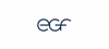 Firmenlogo: egf - Eduard G. Fidel GmbH