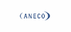 Firmenlogo: ANECO Institut für Umweltschutz GmbH & Co.