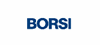 Das Logo von BORSI GmbH & Co. KG