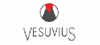 Firmenlogo: Vesuvius GmbH