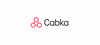 Firmenlogo: CABKA GmbH & Co. KG