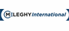 Meleghy Automotive GmbH & Co. KG Meleghy Automotive GmbH & Co. KG