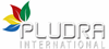 Firmenlogo: Pludra-Frankfurt GmbH