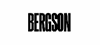 Firmenlogo: Bergson GmbH