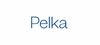 Pelka und Sozien GmbH Logo