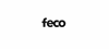 Firmenlogo: feco-feederle GmbH