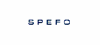 Firmenlogo: SPEFO GmbH