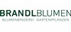 Firmenlogo: Firmenlogo: Brandl Blumen GmbH
