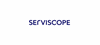 Firmenlogo: Serviscope AG Firmenlogo: Serviscope AG