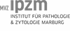 Firmenlogo: MVZ IPZM GmbH