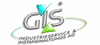 G.I.S. Gesellschaft für Industrieservice AG G.I.S. Gesellschaft für Industrieservice AG