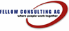 Fellow Consultung AG Fellow Consultung AG